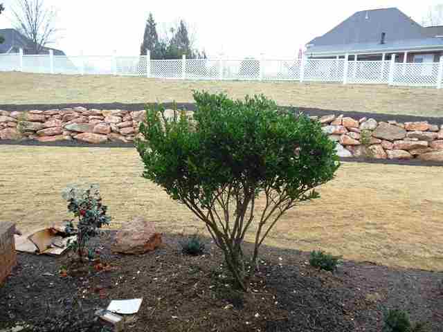 112 Green Ridge Drive Easley, SC 29642 - Photo 9 of 24 Gallery Image 9