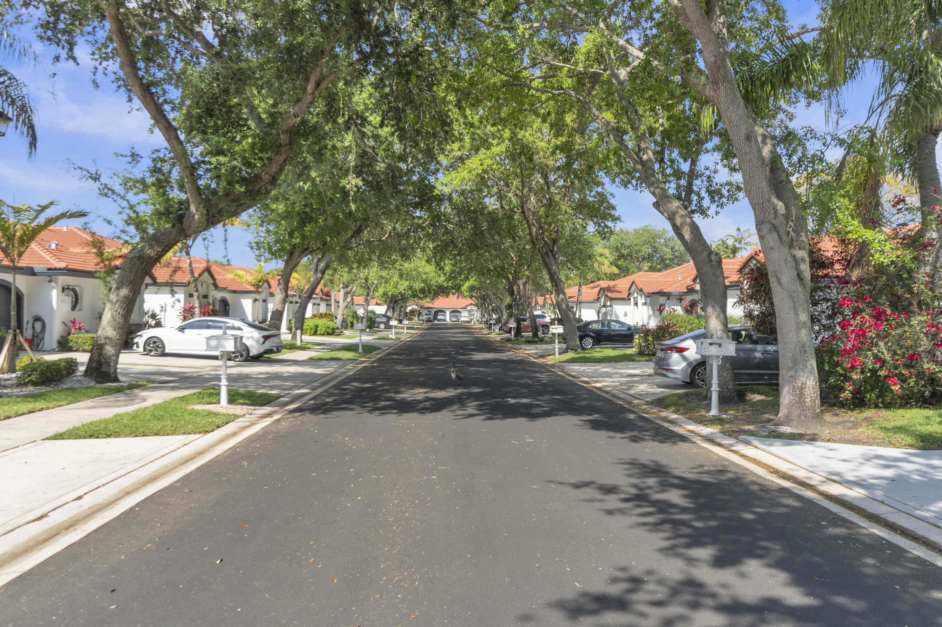 8224 Vía Bella Boca Raton, FL 33496 - Photo 57 of 68 40