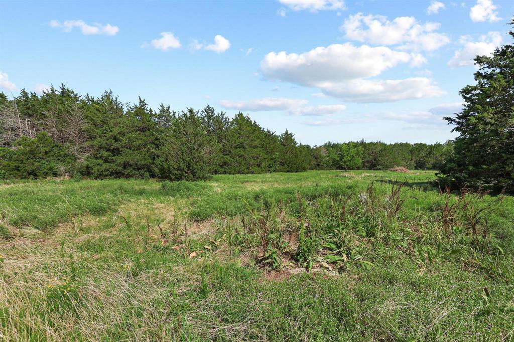 252 Meadow Lake Estates Road Denison, TX 75021 - Photo 24 of 37 Expansive cleared land featuring natural vegetation