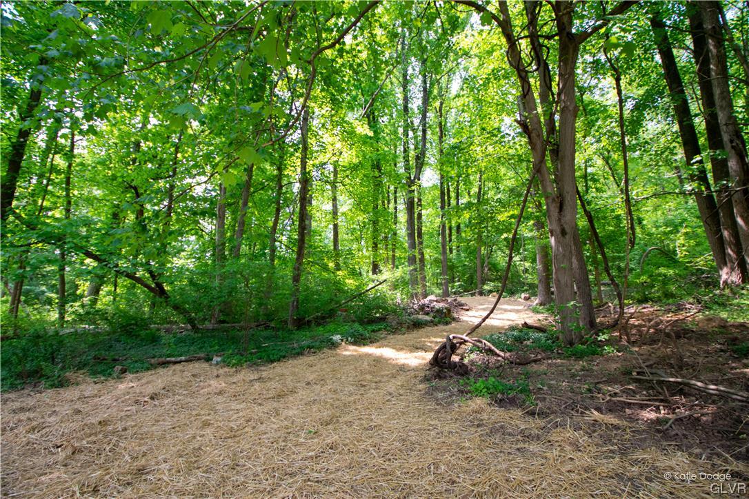 395 Buttermilk Road Easton, PA 18042 - Photo 41 of 41 a view of a park with large trees