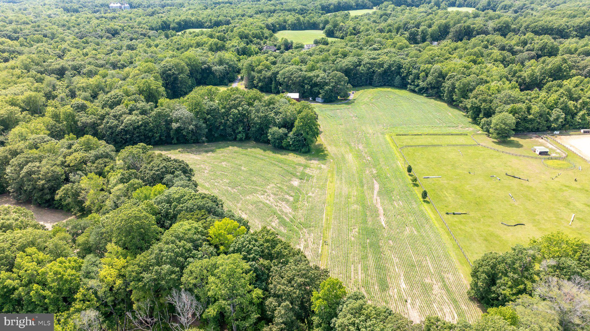 613 Pond Road Lothian, MD 20711 - Photo 2 of 6 Gallery Image 2