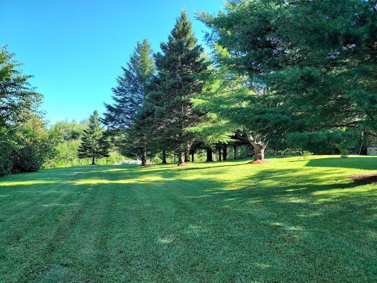 399 Stetson Road West Levant, ME 04456 - Photo 54 of 77 Backyard 3
