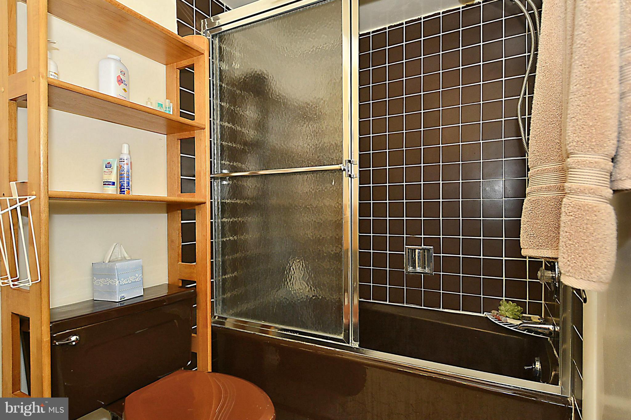 506 Sisson Street Silver Spring, MD 20902 - Photo 25 of 30 Bath 2 in Lower Level