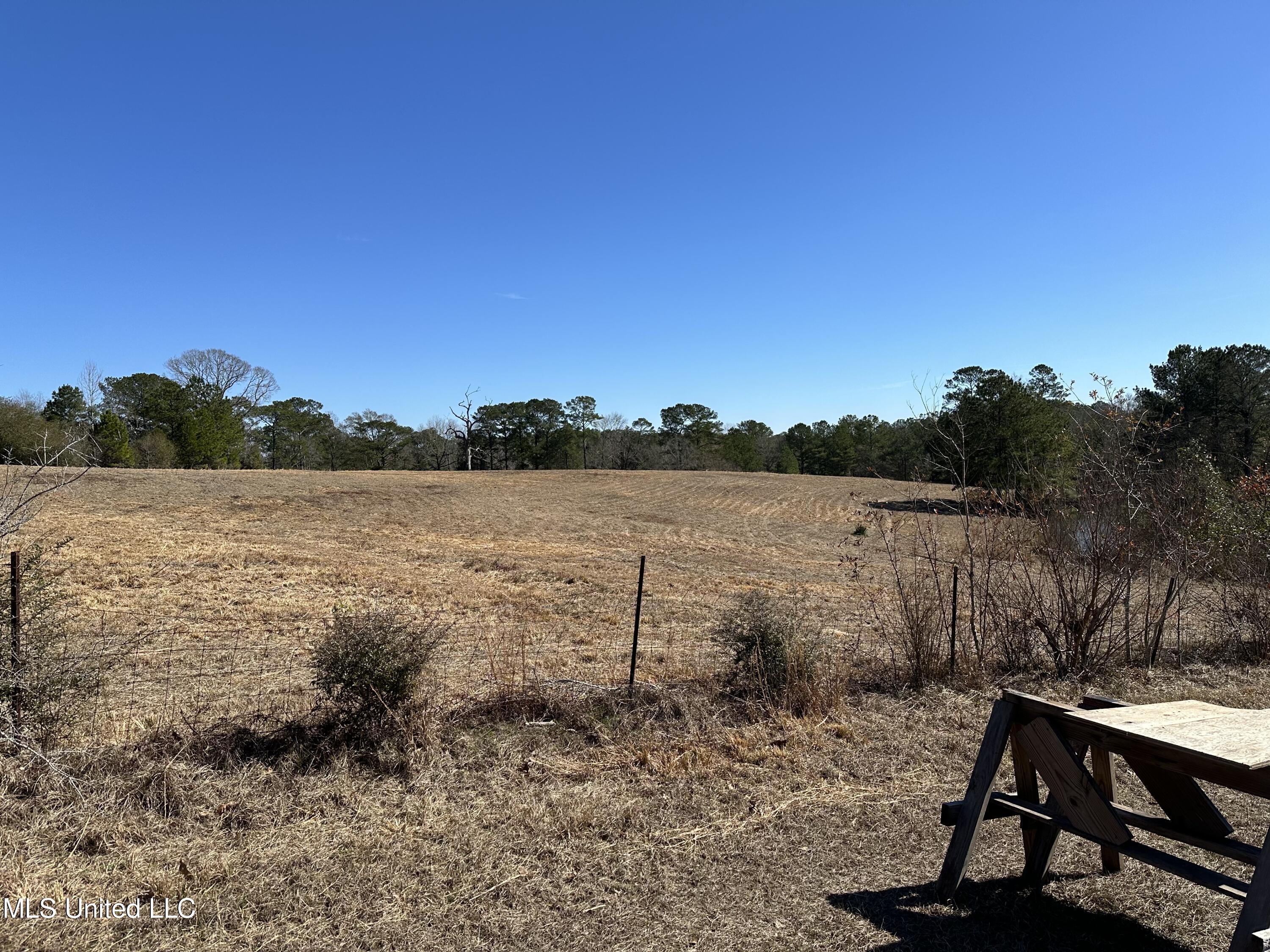 650 Sam Smith Road Poplarville, MS 39470 - Photo 42 of 51 IMG_8171