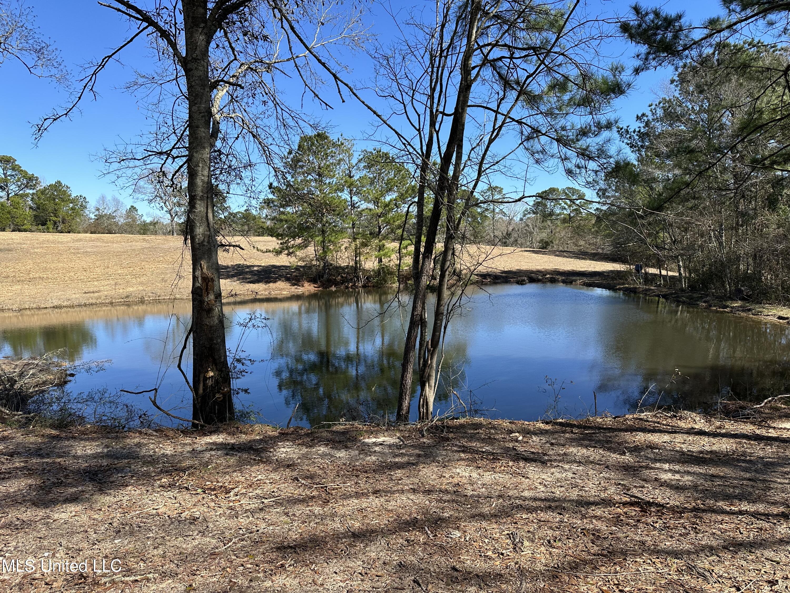 650 Sam Smith Road Poplarville, MS 39470 - Photo 48 of 51 IMG_8177