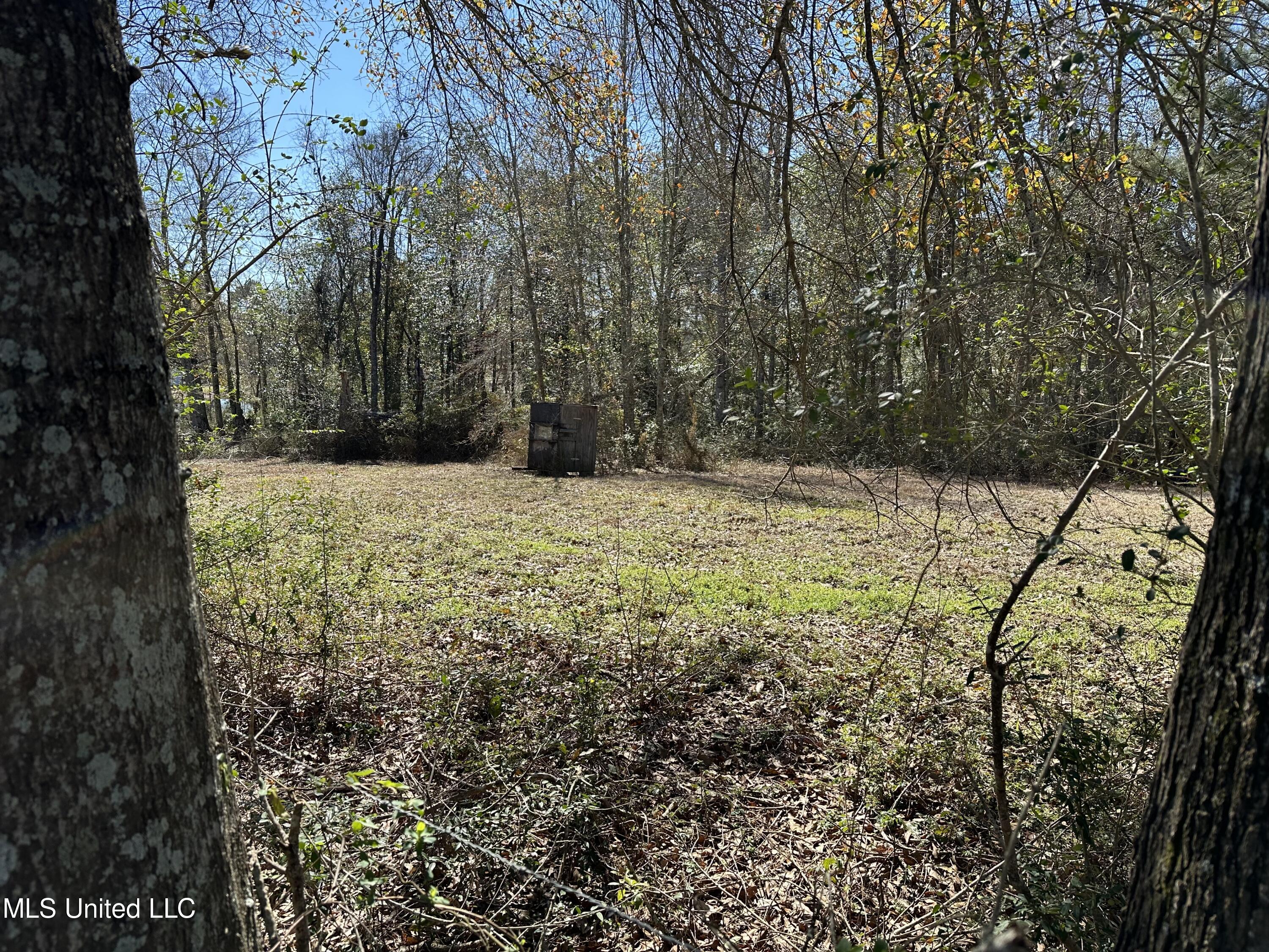 650 Sam Smith Road Poplarville, MS 39470 - Photo 49 of 51 IMG_8178