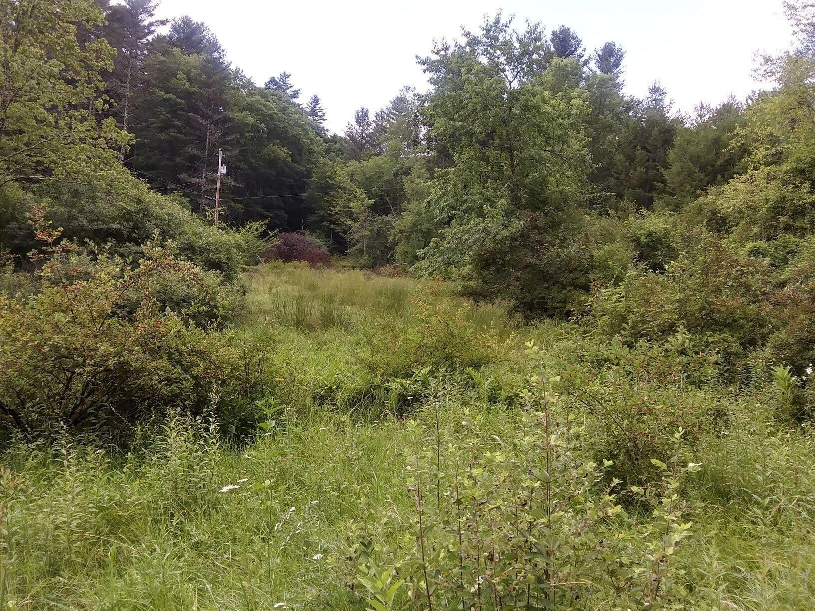 465 Joe Rexrode Road Arbovale, WV 24915 - Photo 2 of 9 Gallery Image 2