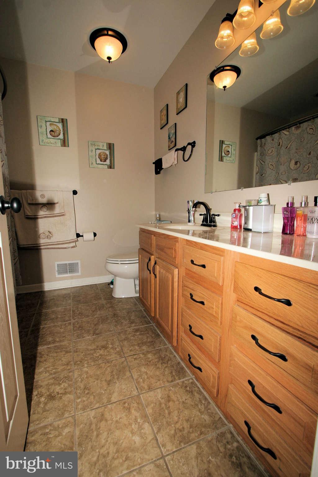 8019 Mapleville Road Boonsboro, MD 21713 - Photo 14 of 15 Bath