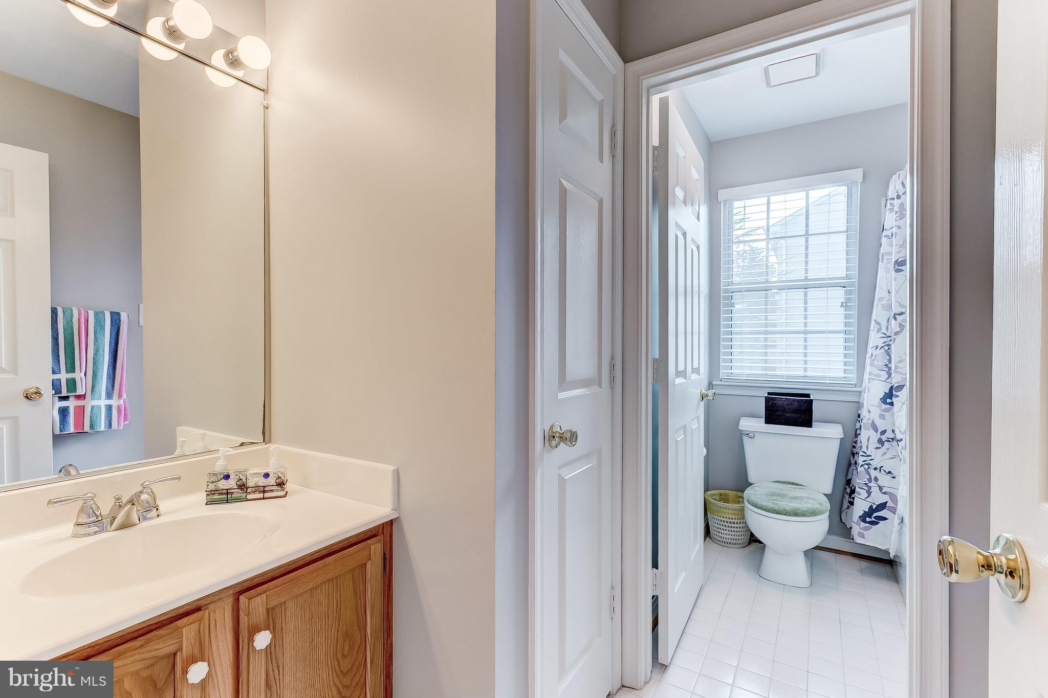 4313 Mispillion Road Baltimore, MD 21236 - Photo 29 of 38 a bathroom with a sink and mirror with toilet