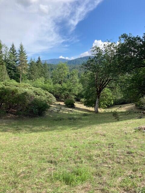 395 East Van Duzen Road Bridgeville, CA 95526 - Photo 1 of 19 a view of a garden from a lake