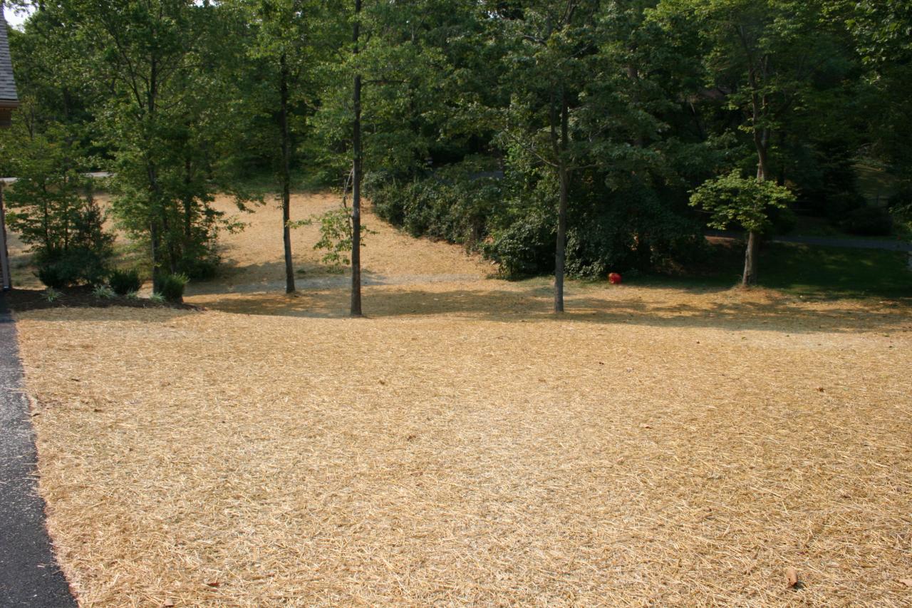 91 Stonehaven Lane Blue Ridge, VA 24064 - Photo 49 of 52 a view of a yard with trees