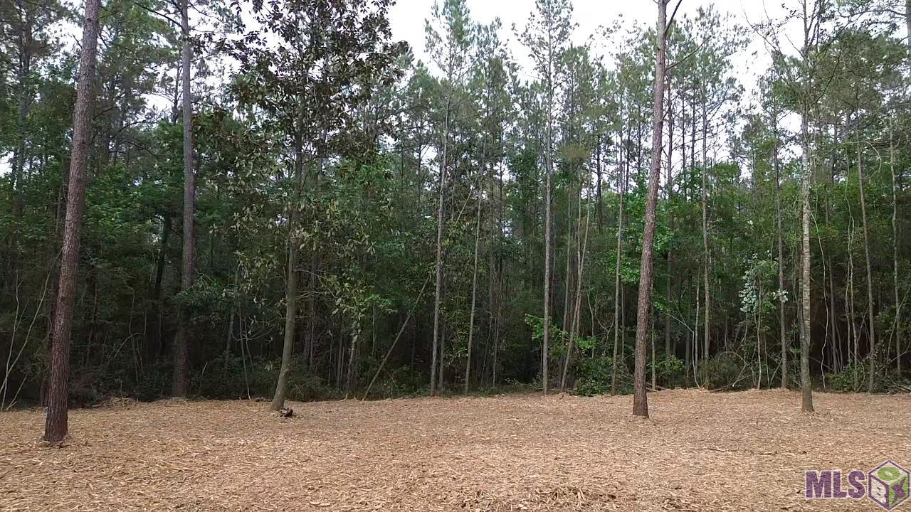 83166 Isabel Swamp Road Bush, LA 70431 - Photo 9 of 20