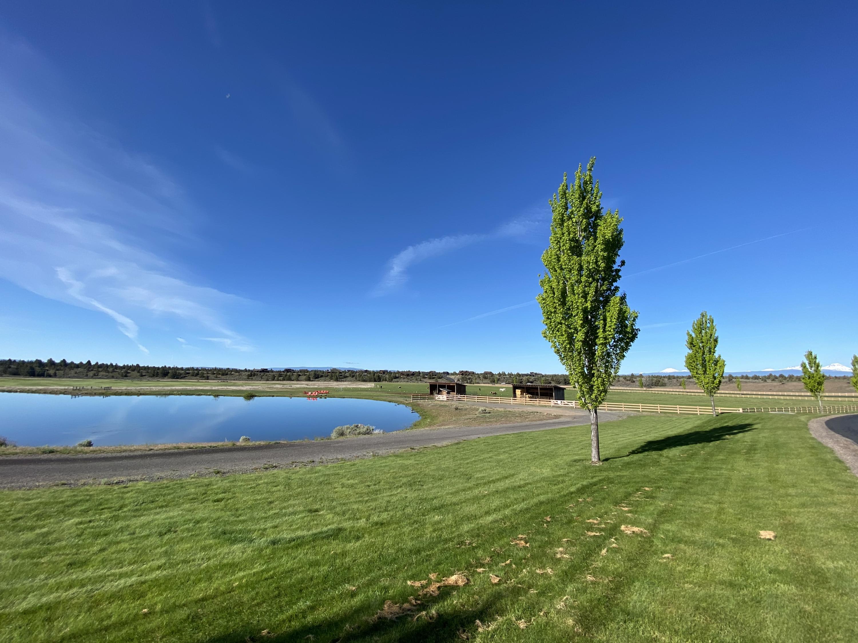 386 Southwest Ranchview Court Powell Butte, OR 97753 - Photo 13 of 23 IMG_7254
