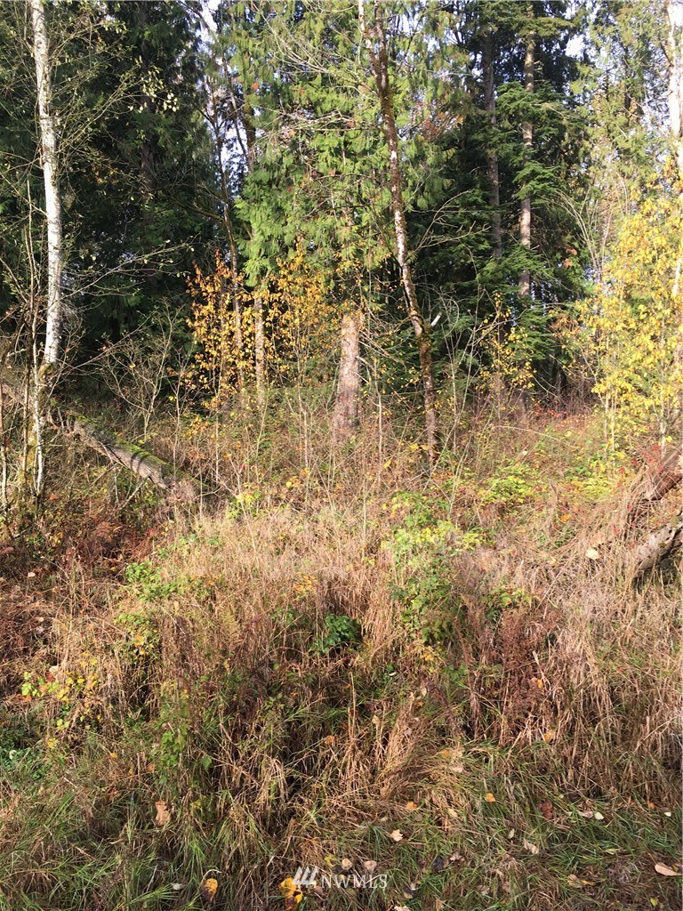 7205 Vandermark Road East Bonney Lake, WA 98391 - Photo 22 of 25