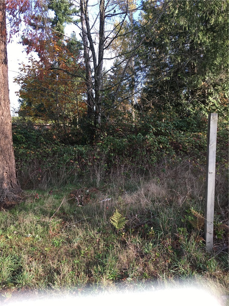 7205 Vandermark Road East Bonney Lake, WA 98391 - Photo 25 of 25