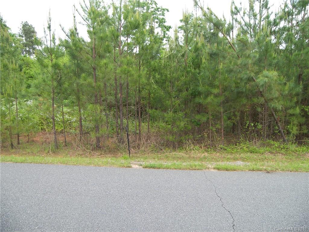Lot 41 Brians Way, Unit 41 Rutherfordton, NC 28139 - Photo 3 of 6 Gallery Image 3