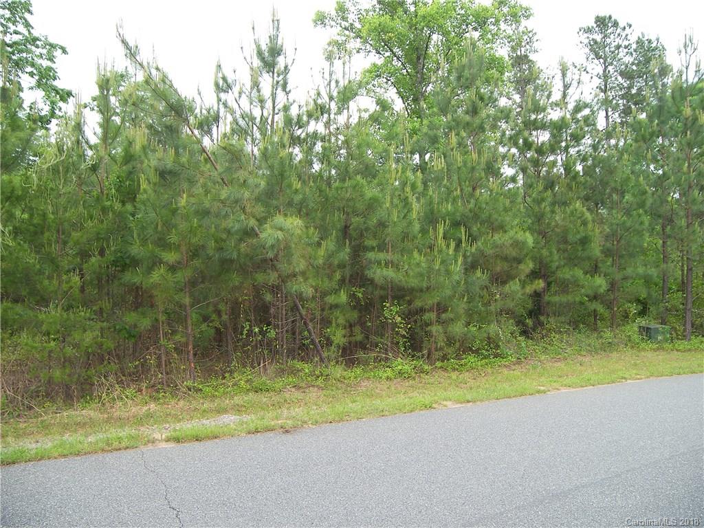 Lot 41 Brians Way, Unit 41 Rutherfordton, NC 28139 - Photo 4 of 6 Gallery Image 4