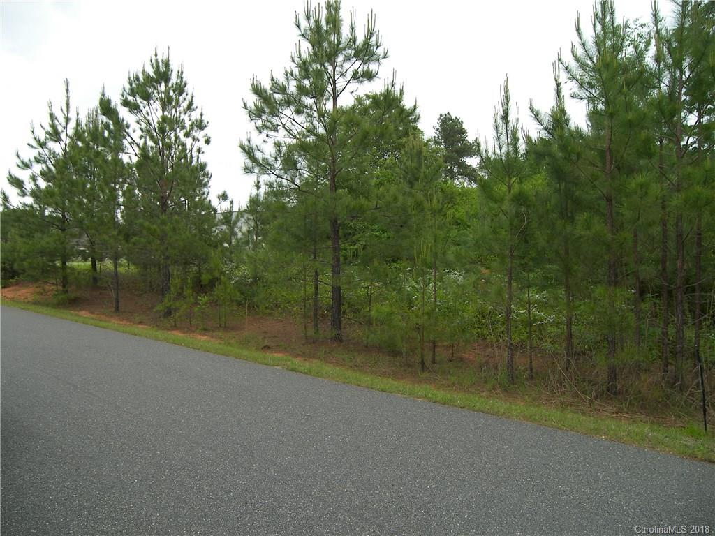 Lot 41 Brians Way, Unit 41 Rutherfordton, NC 28139 - Photo 5 of 6 Gallery Image 5