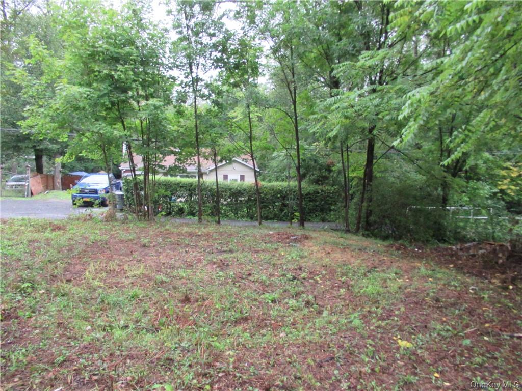 357 Mountain Lodge Road Monroe, NY 10950 - Photo 11 of 20 View of yard