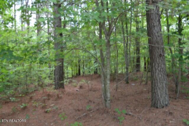 318 Rhodas Way Sunbright, TN 37872 - Photo 19 of 55 DSC_0047