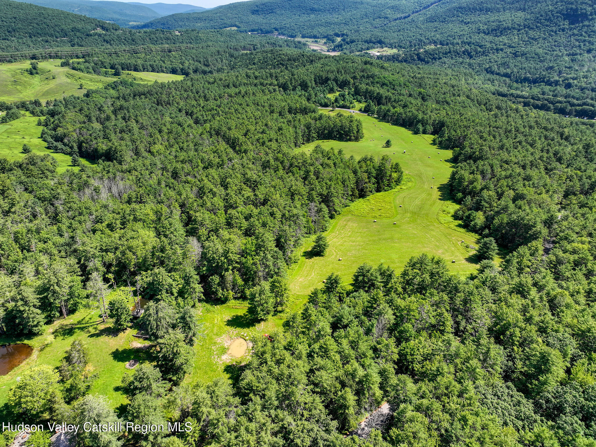 379 Stryker Road Gilboa, NY 12076 - Photo 15 of 22 DJI_20260720111513_0051_D