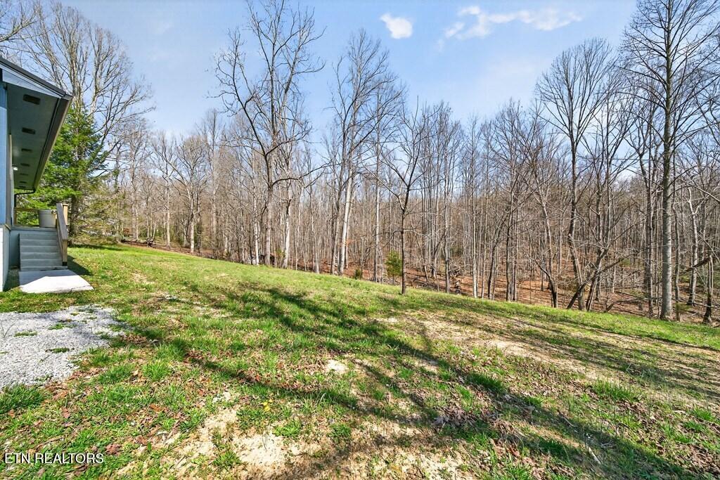 121 Twin Oaks Road Pikeville, TN 37367 - Photo 6 of 34 243147_5