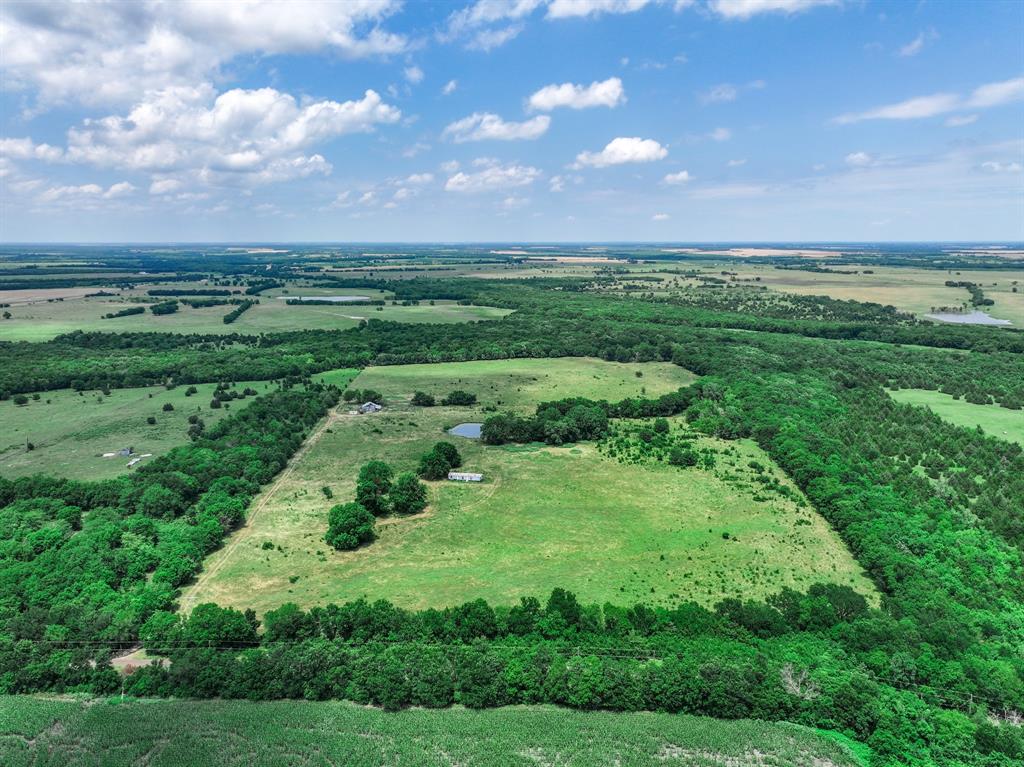 2190 County Road 2190 Commerce, TX 75428 - Photo 11 of 35 a view of a green field with lots of plants in it