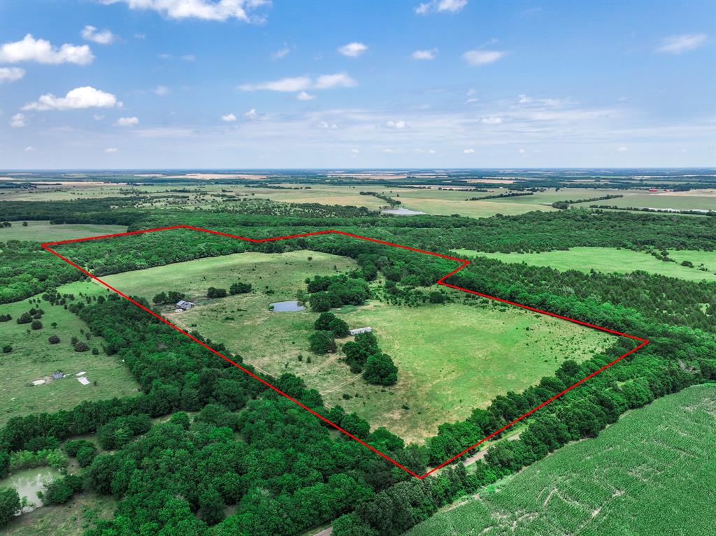 2190 County Road 2190 Commerce, TX 75428 - Photo 12 of 35 a view of a green field with lots of green space