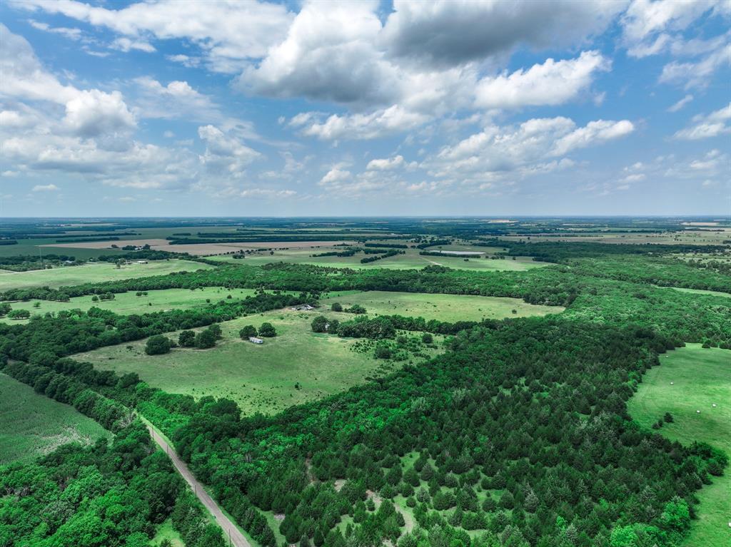 2190 County Road 2190 Commerce, TX 75428 - Photo 15 of 35 a view of a big yard with potted plants and large tree