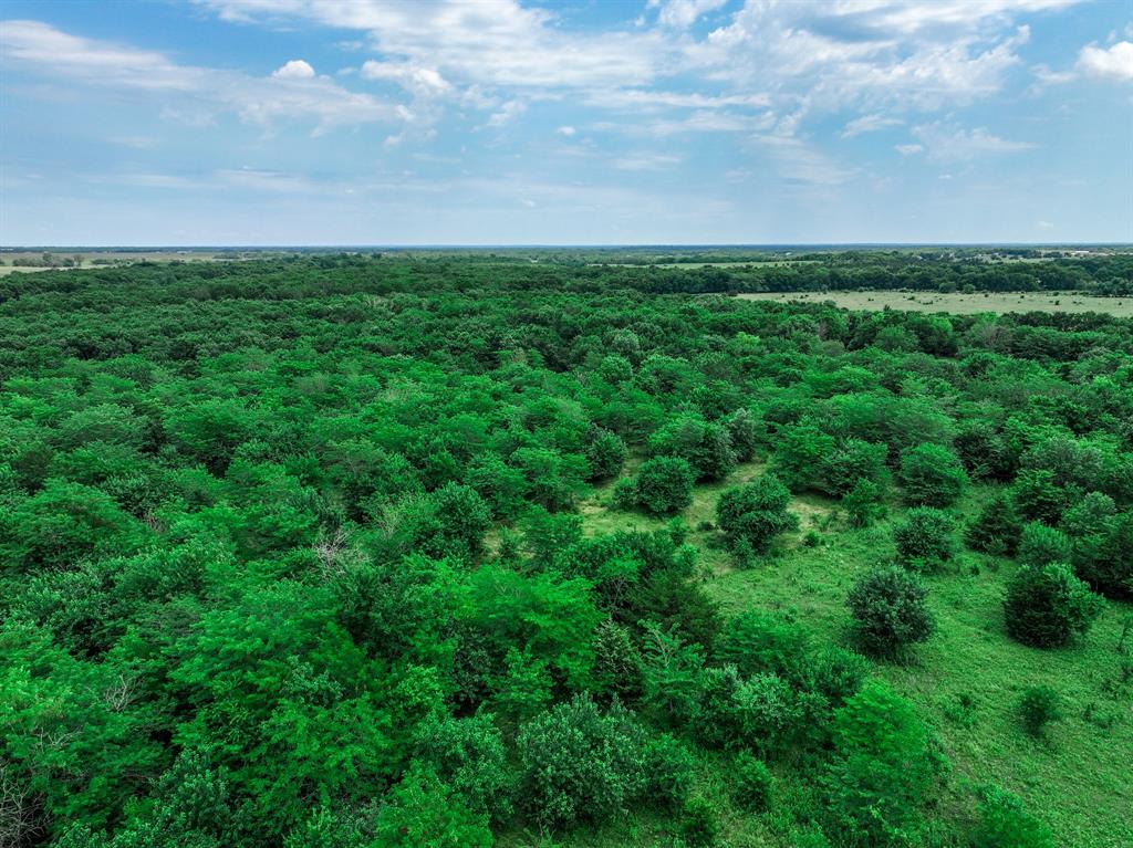 2190 County Road 2190 Commerce, TX 75428 - Photo 20 of 35 a view of a field with grass and trees in the background