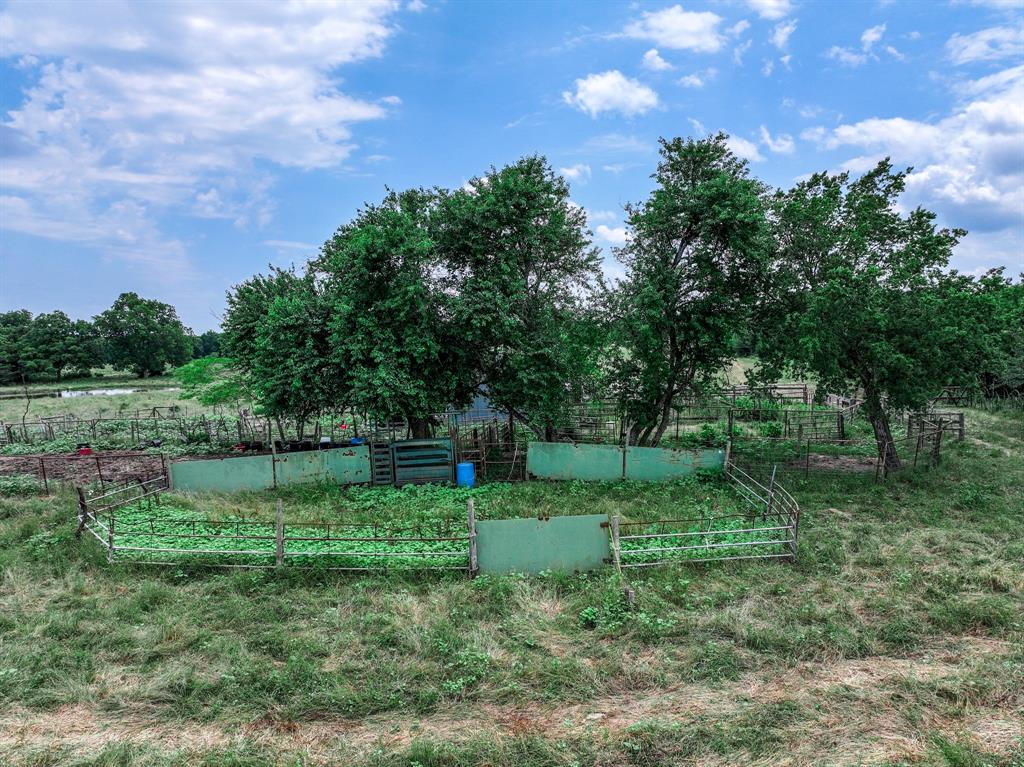 2190 County Road 2190 Commerce, TX 75428 - Photo 23 of 35 a view of green field