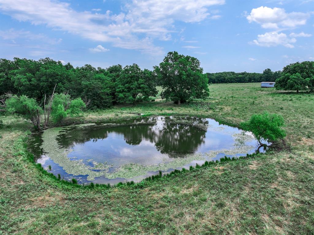 2190 County Road 2190 Commerce, TX 75428 - Photo 27 of 35 a view of a lake with a yard and a large tree