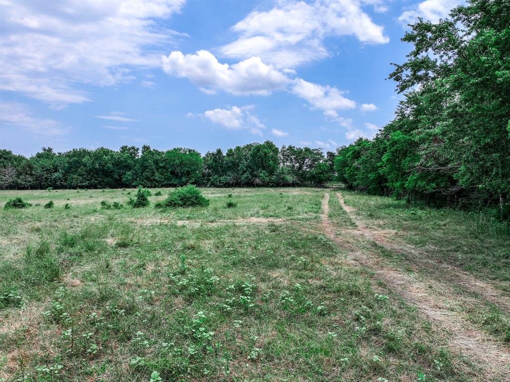 2190 County Road 2190 Commerce, TX 75428 - Photo 32 of 35 a view of a field with a tree in the background