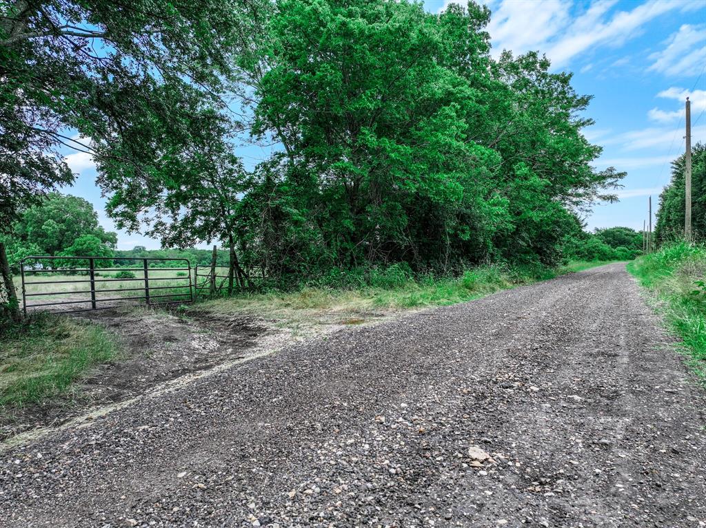 2190 County Road 2190 Commerce, TX 75428 - Photo 35 of 35 a view of a yard with a tree