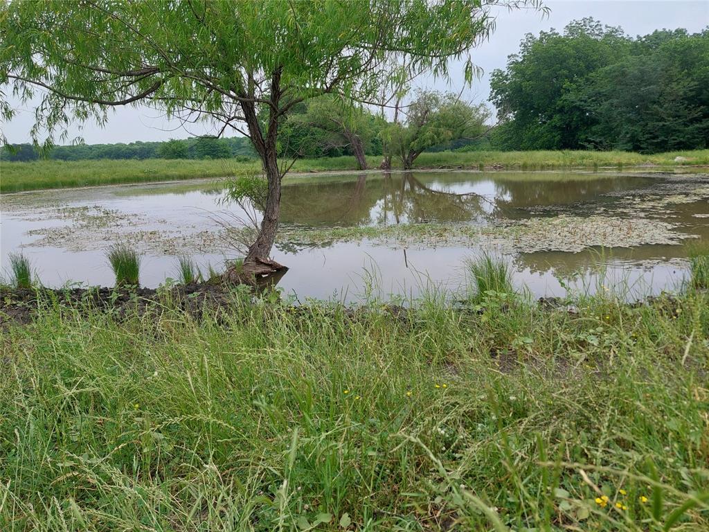 2190 County Road 2190 Commerce, TX 75428 - Photo 5 of 35 a view of a lake with a yard and large trees