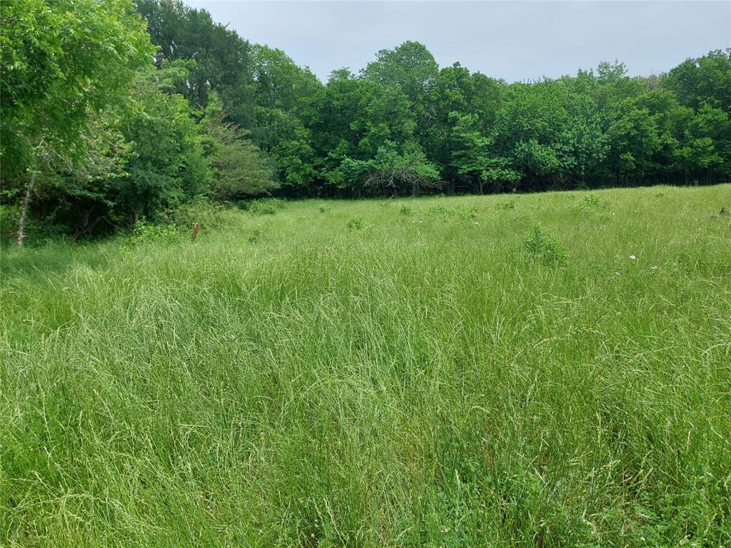 2190 County Road 2190 Commerce, TX 75428 - Photo 7 of 35 a view of field with trees in the background