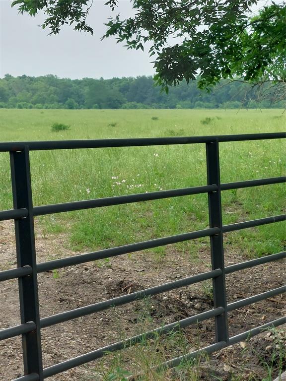2190 County Road 2190 Commerce, TX 75428 - Photo 8 of 35 a view of a yard from a window