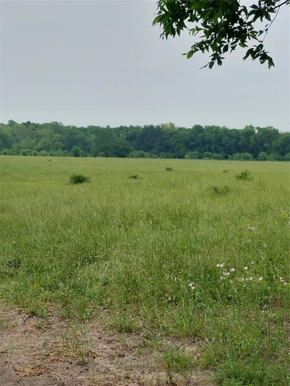 2190 County Road 2190 Commerce, TX 75428 - Photo 9 of 35 a view of a lake from a yard