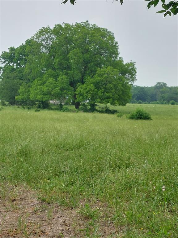 2190 County Road 2190 Commerce, TX 75428 - Photo 10 of 35 a view of field with trees in the background