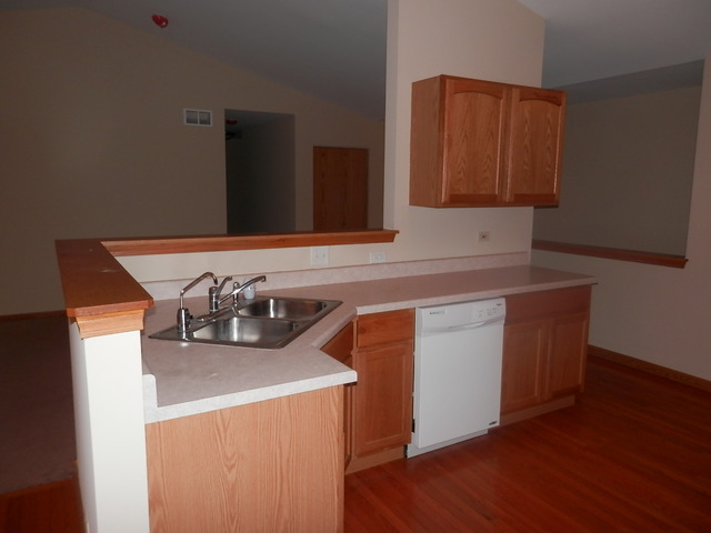 1958 Brimstone Road Romeoville, IL 60446 - Photo 11 of 18
