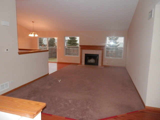 1958 Brimstone Road Romeoville, IL 60446 - Photo 3 of 18