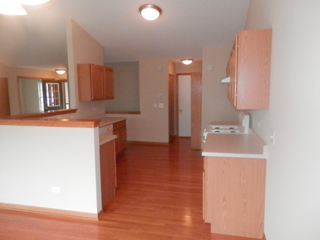 1958 Brimstone Road Romeoville, IL 60446 - Photo 10 of 18