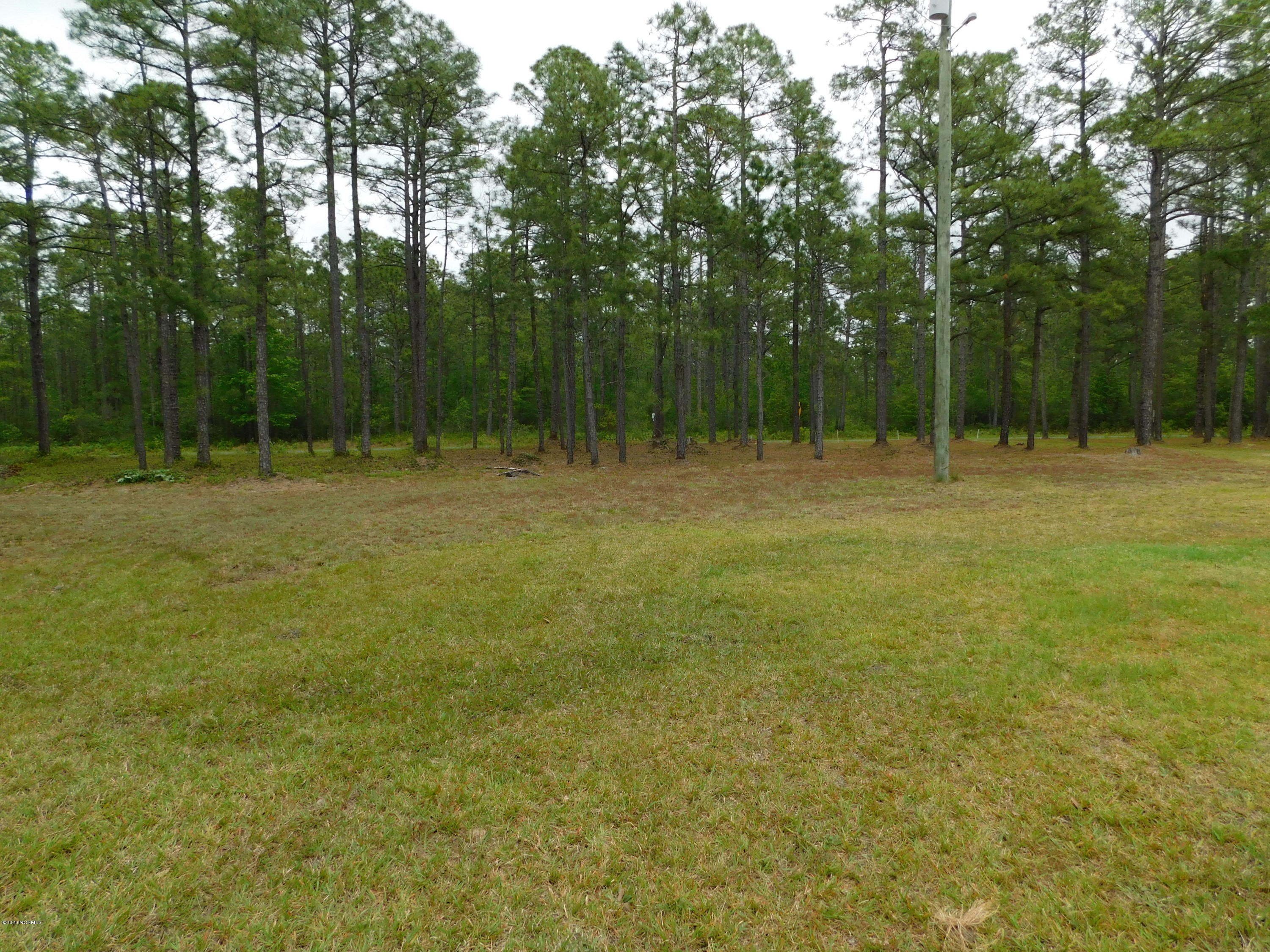 285 Gurganus Road Maple Hill, NC 28454 - Photo 9 of 13 DSCN0069