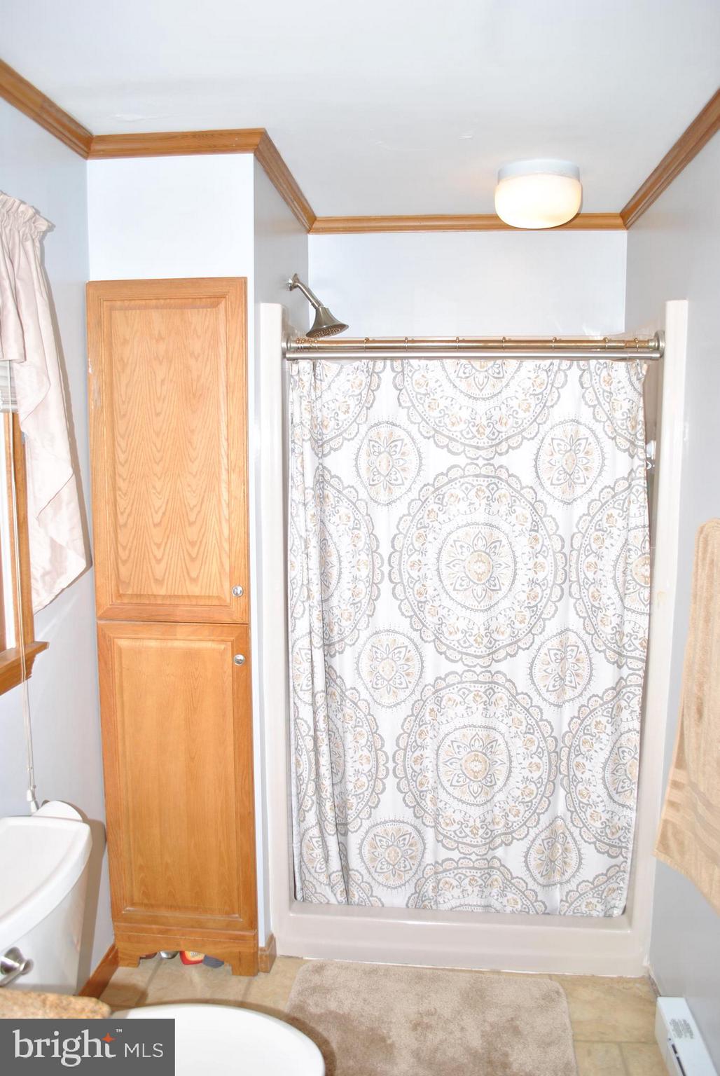 10651 Tintah Road Chestertown, MD 21620 - Photo 22 of 26 Master bath