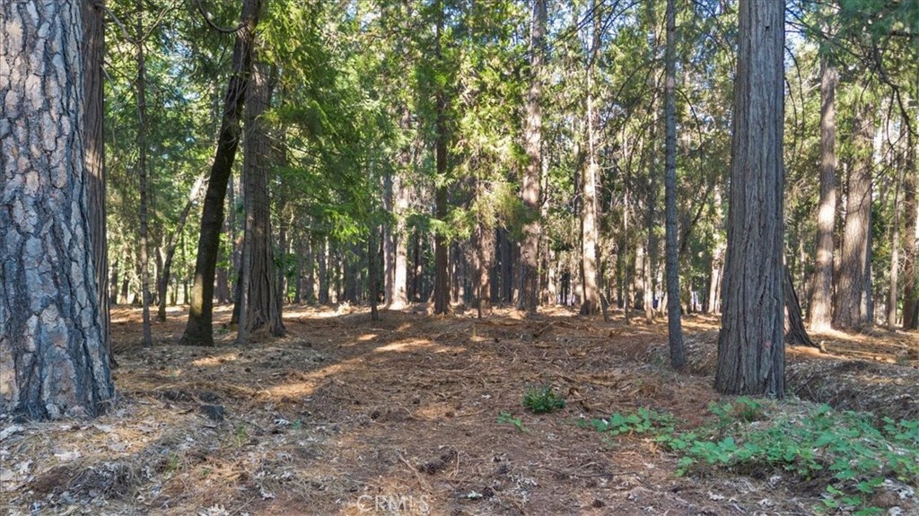0 Nimshew Ridge Magalia, CA 95954 - Photo 7 of 11