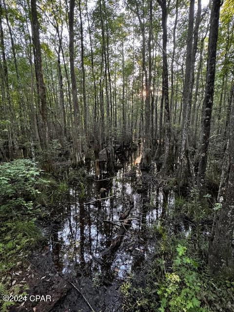 1332 Beaver Dam Road Bonifay, FL 32425 - Photo 39 of 40 Gallery Image 39