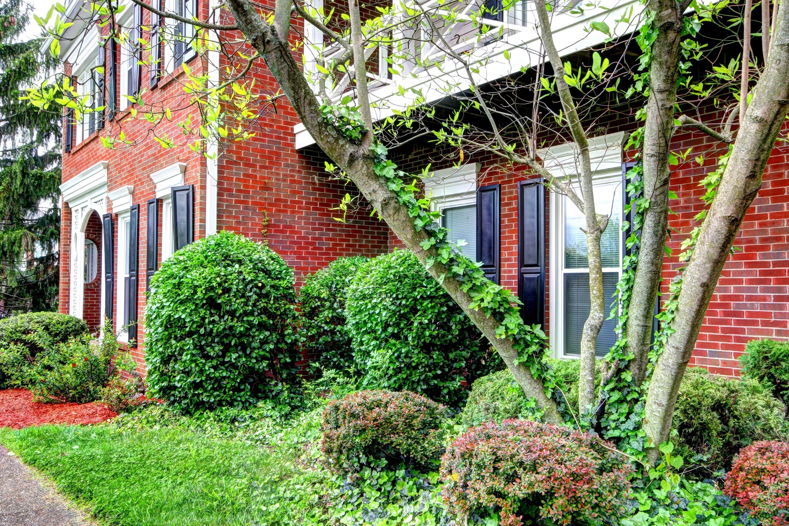 Maple Ridge Place #6