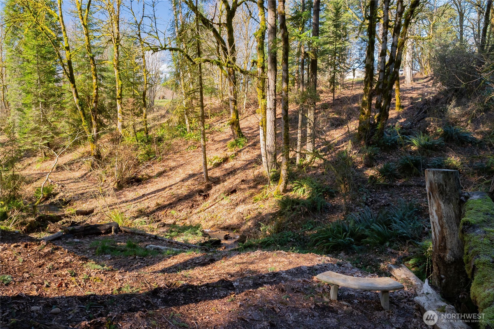 30606 Northeast Harrison Road Battle Ground, WA 98604 - Photo 29 of 35 Gallery Image 29
