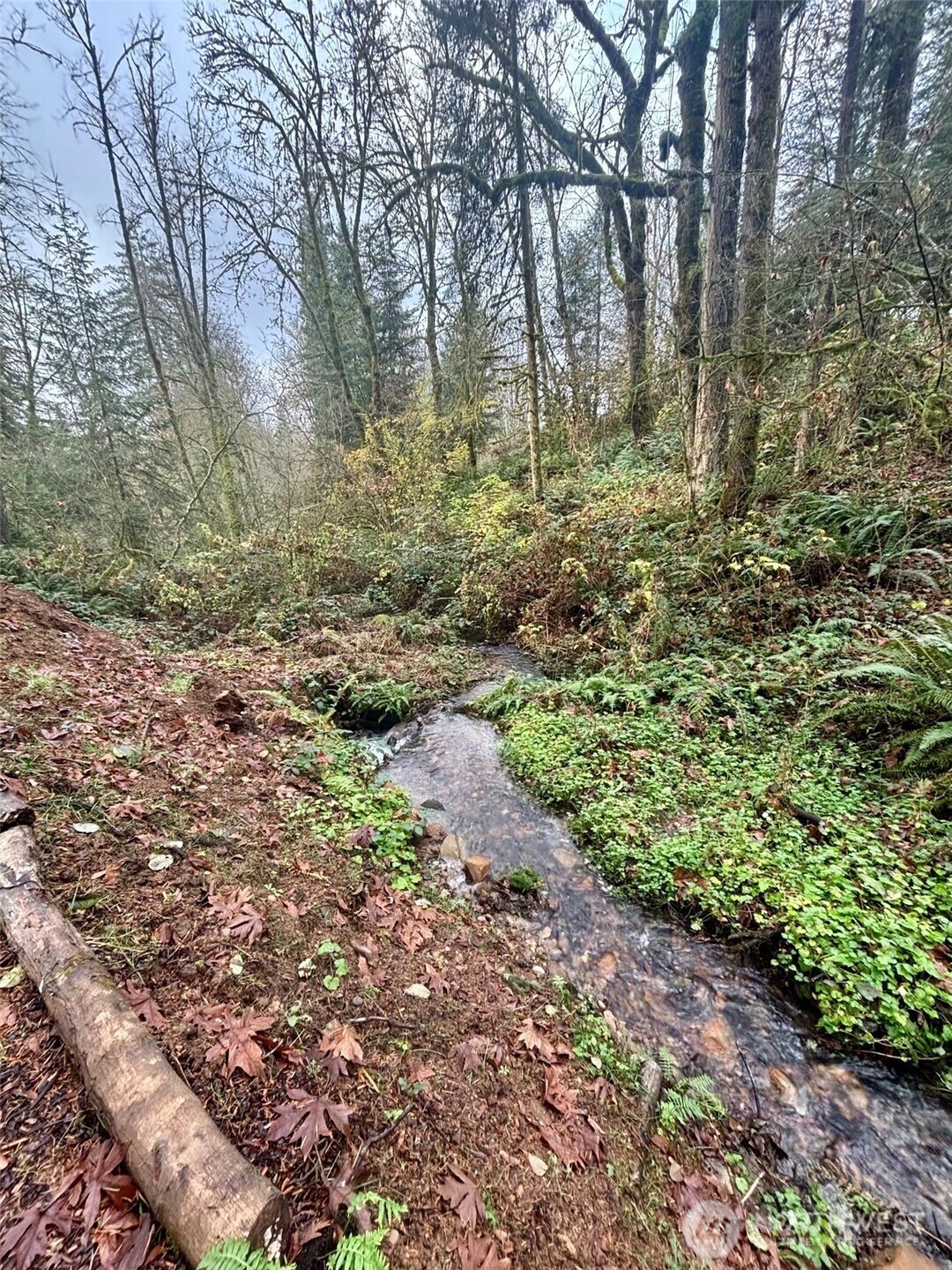 30606 Northeast Harrison Road Battle Ground, WA 98604 - Photo 35 of 35 Gallery Image 35