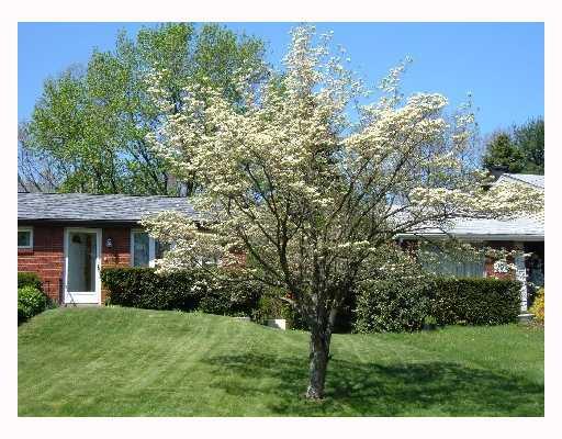 787 Lindsay Road Carnegie, PA 15106 - Photo 1 of 15 Exterior Front. LETS PRETEND ITS SUMMER, BEHOLD THE MAGNIFICANT DOGWOOD